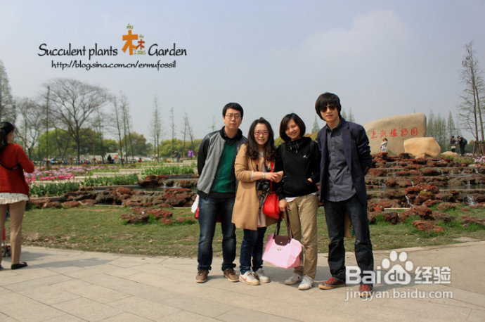 上海植物园（上）