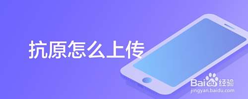 抗原怎么上传
