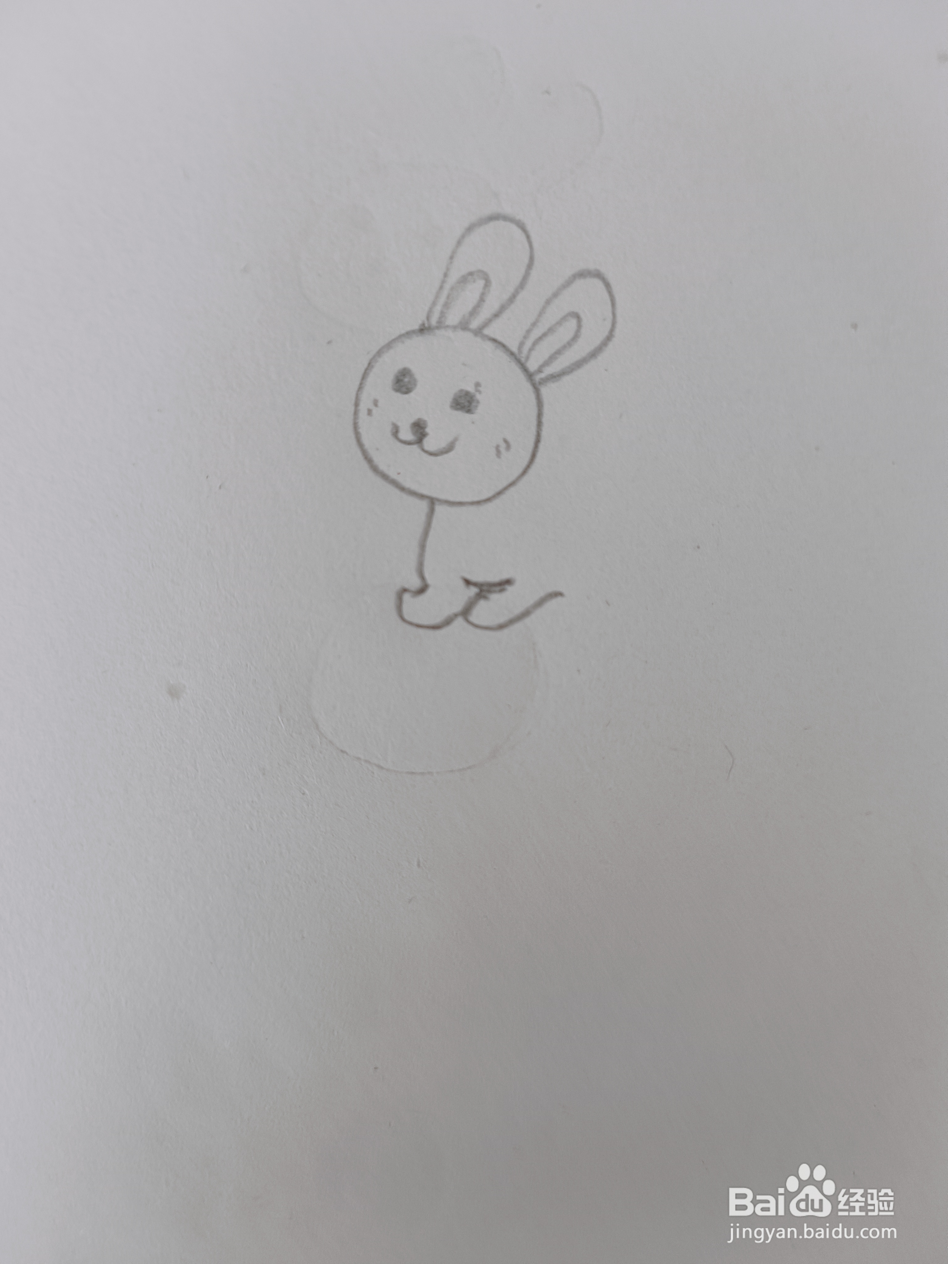 兔子的简单画法