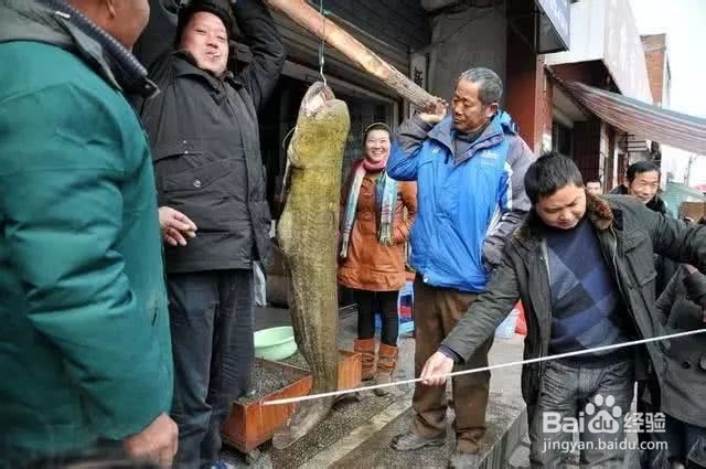 如何认知冬钓技巧