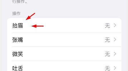 iPhone13如何配置抬眉为选择项目