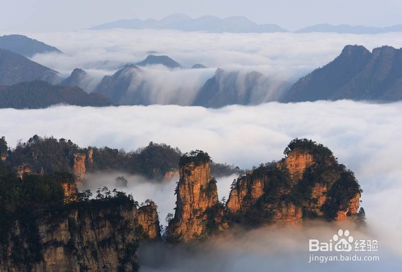 重庆到张家界自助游