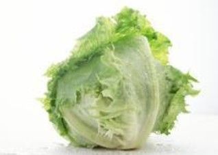 宠物土拨鼠吃什么