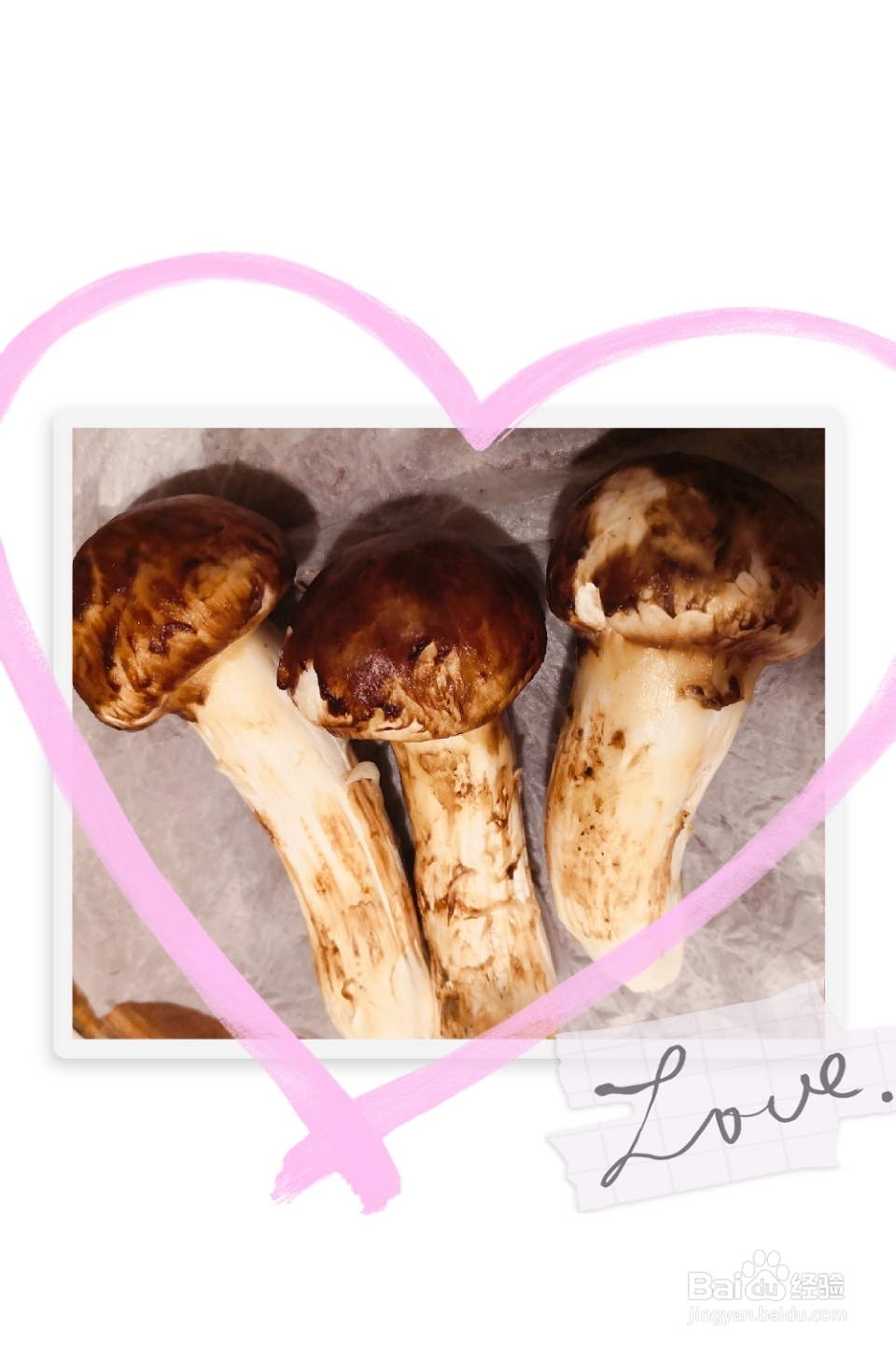 赞不绝口的松茸