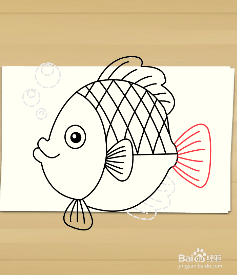 画鱼——加菲的吃货生活