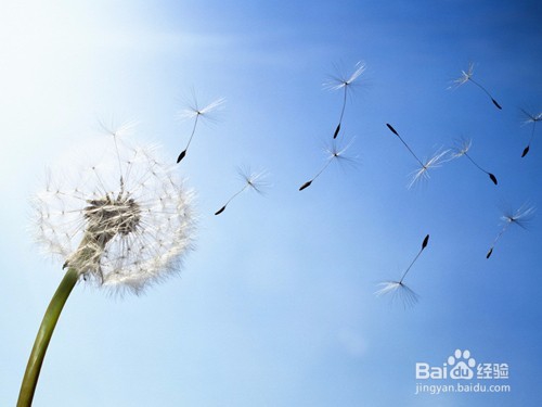 困难面前如何克服自己,勇敢前行?