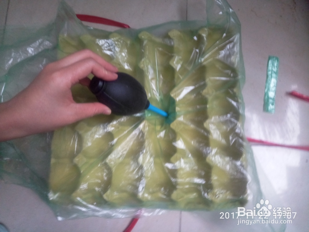 如何用鸡蛋托种多肉植物(多肉叶插)