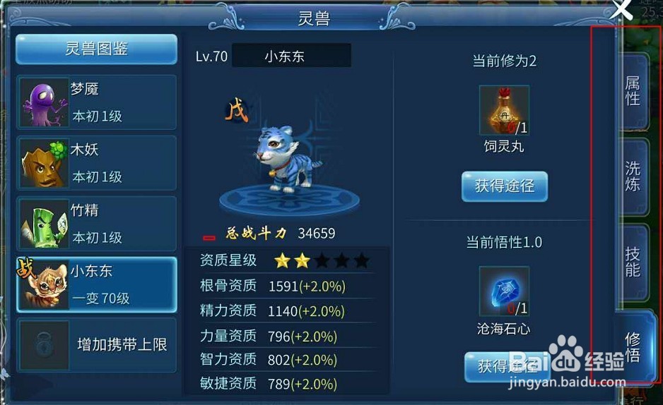 小虎咪怎么加点