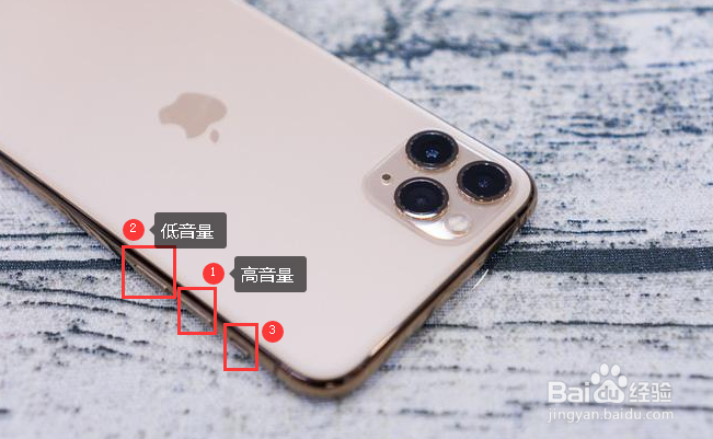 苹果x突然只显示苹果标志