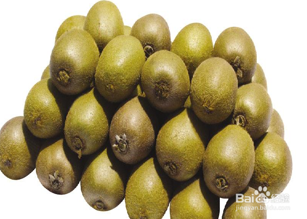 长沙到张家界自助游攻略