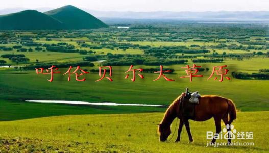 苹字怎么出谜语
