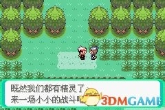 口袋妖怪漆黑的魅影攻略