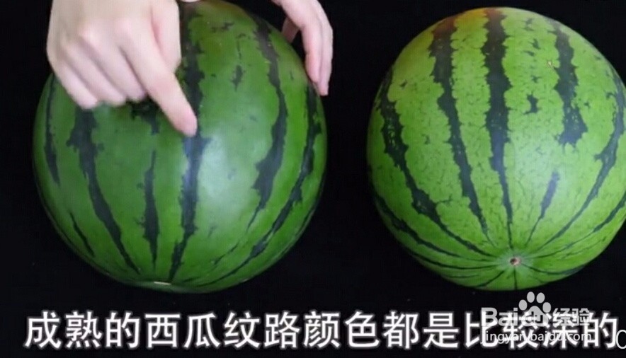 如何挑选又甜又新鲜的西瓜？