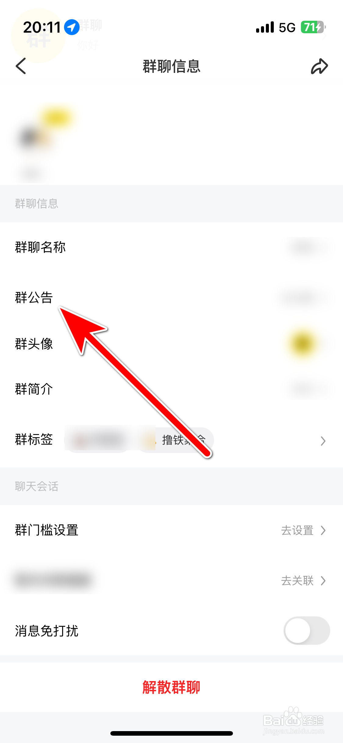 街猫如何设置群聊公告