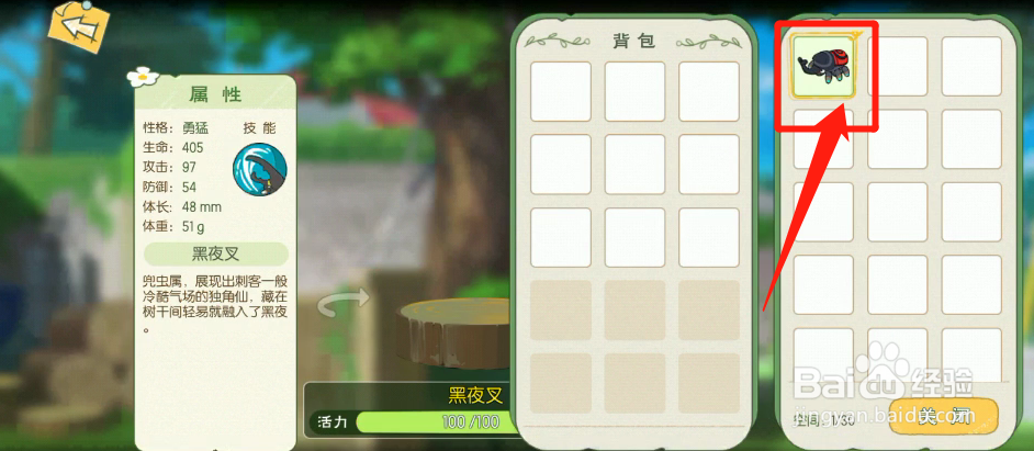 如何将虫子放入虫箱中管理