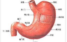 怎样保护耳朵？耳朵的保健方法。