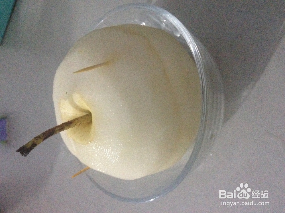 宝贝咳嗽老不好