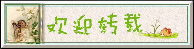 英雄联盟S8:翱翔在蓝空中的黄牌飞行员库奇符文