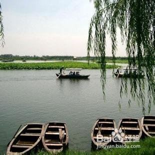 白洋淀二日游 泛舟赏荷白沟购物