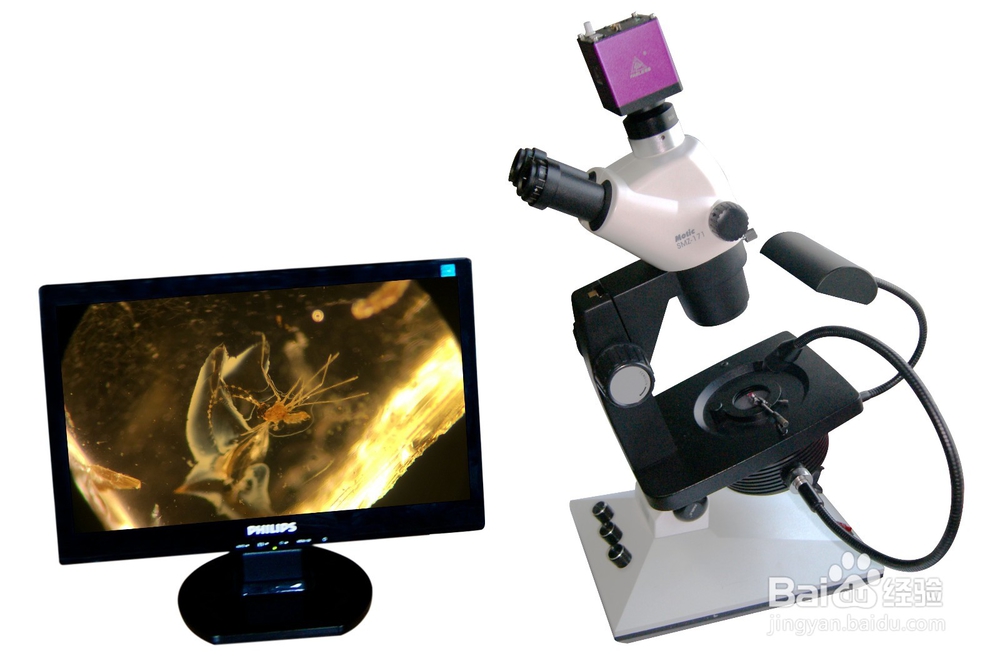 宝石显微镜使用方法
