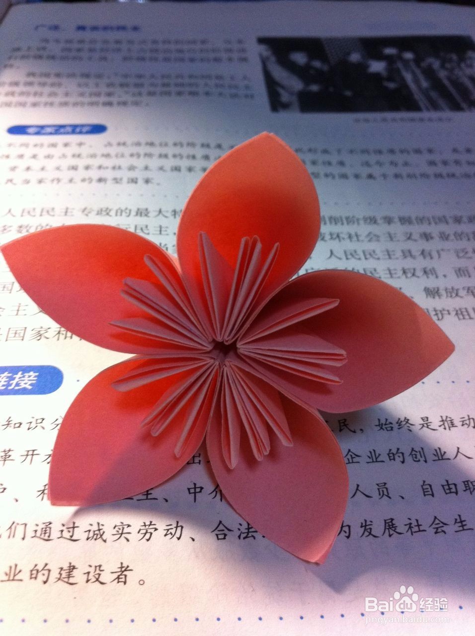 怎么用纸折樱花~