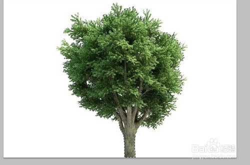 ps抠图方法大全8种方法