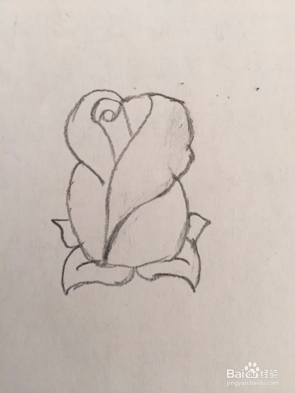 简笔画玫瑰花的画法