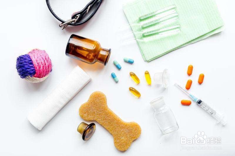 养宠物应长备哪几种药物