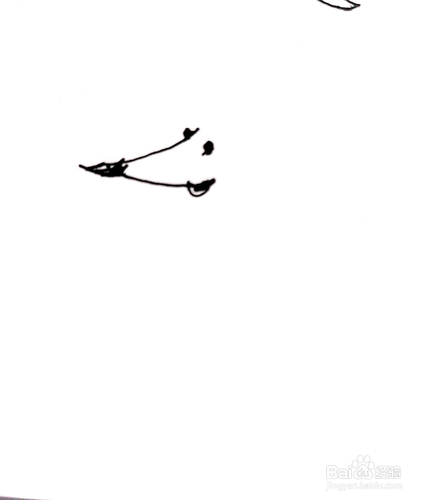 尖鼻子的小羊线描画怎么画