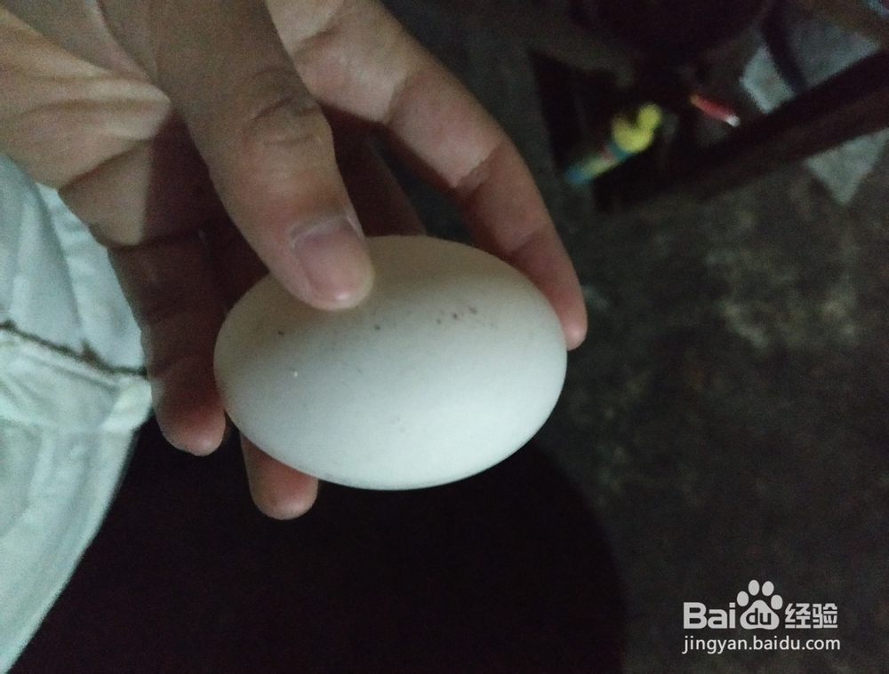 美味的青菜土豆饼