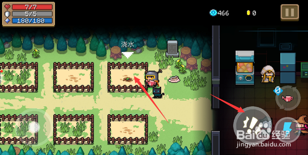 元气骑士怎么种植物，元气骑士花圃怎么玩