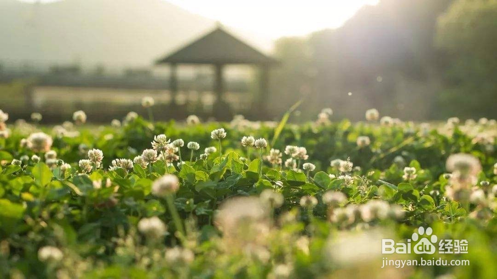 排毒养颜祛痘“3+4”,三年护肤真实经验