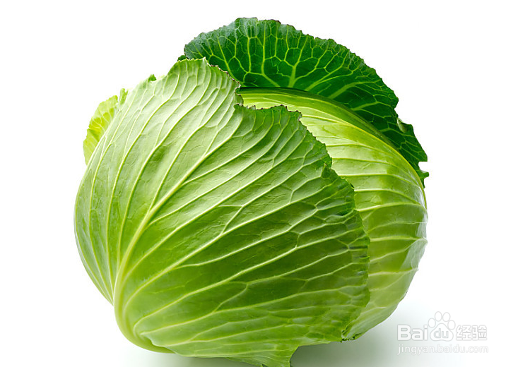 怎么做手撕包菜的方法