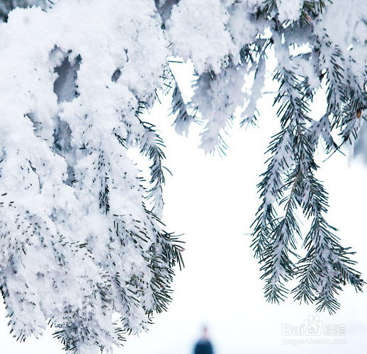 拍摄雪景的技巧有哪些？