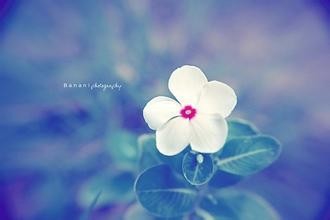 解决晚上睡不着觉的良方