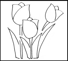 怎样画简笔画（花卉）：[1]郁金香