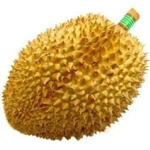 怎么把好榴莲挑选到手