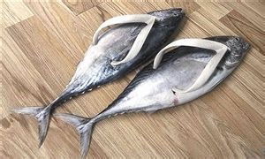 愚人节恶搞，愚人节整人方法！