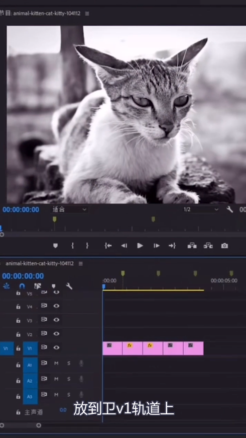 教你pr制作缩放卡点效果