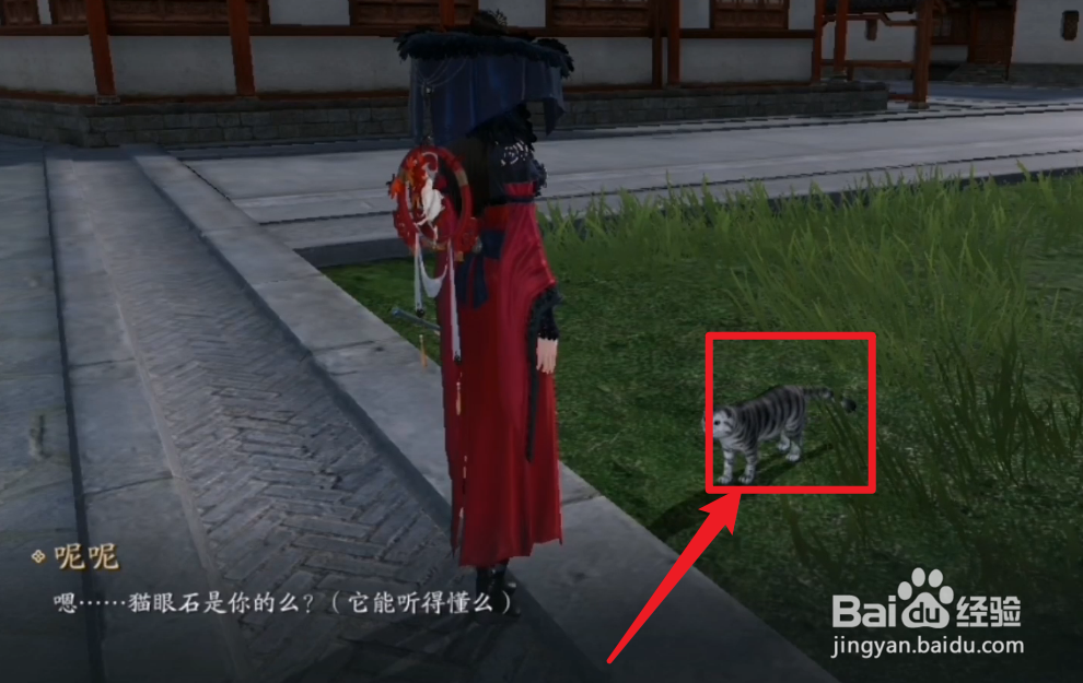 天涯明月刀猫眼石攻略