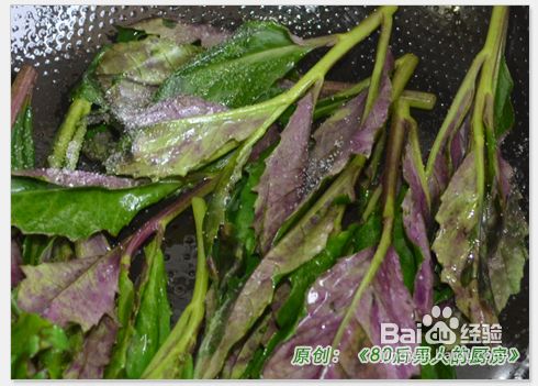 产后食用经典菜肴--紫背天葵滑肝尖