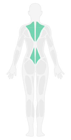 腰背抚摩_腰背深度按摩