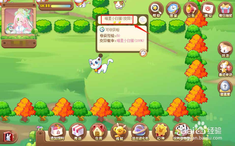 奥比岛中的喵星小白猫怎么获得？