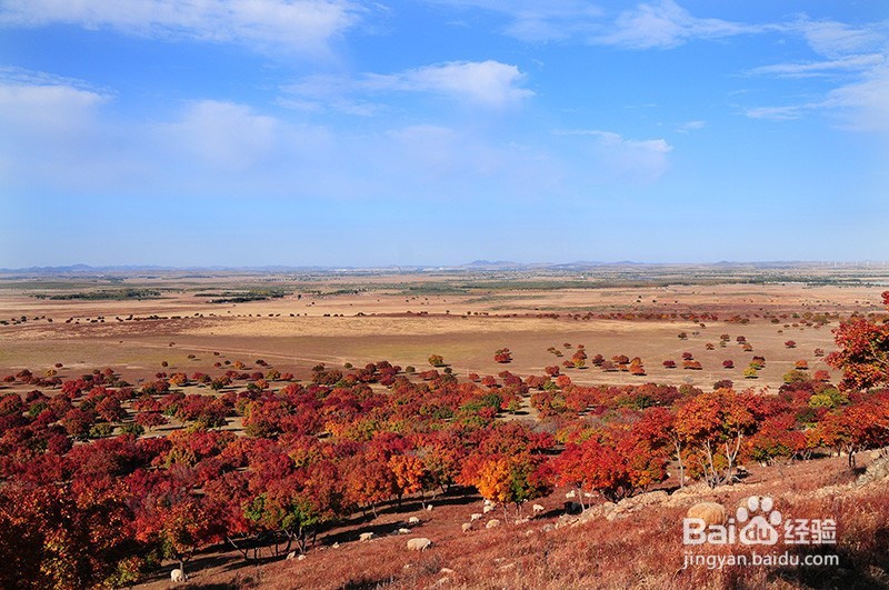 内蒙古旅游攻略之一:内蒙古必去的旅游景点