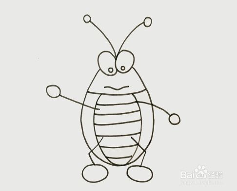蟑螂的简笔画教程