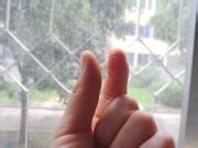 教你做转化糖浆