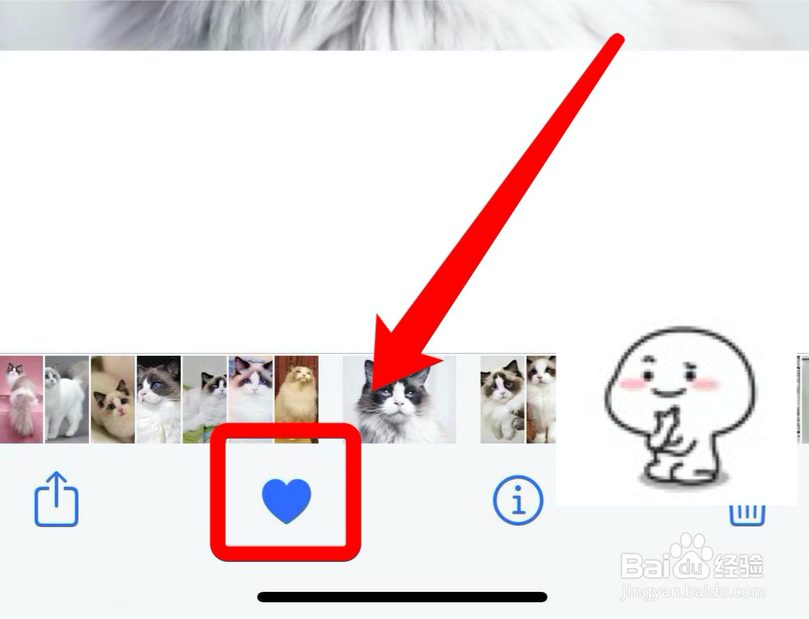 ios15怎么放自己喜欢的照片