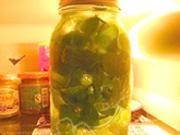 冰爽薄荷蜂蜜茶的做法