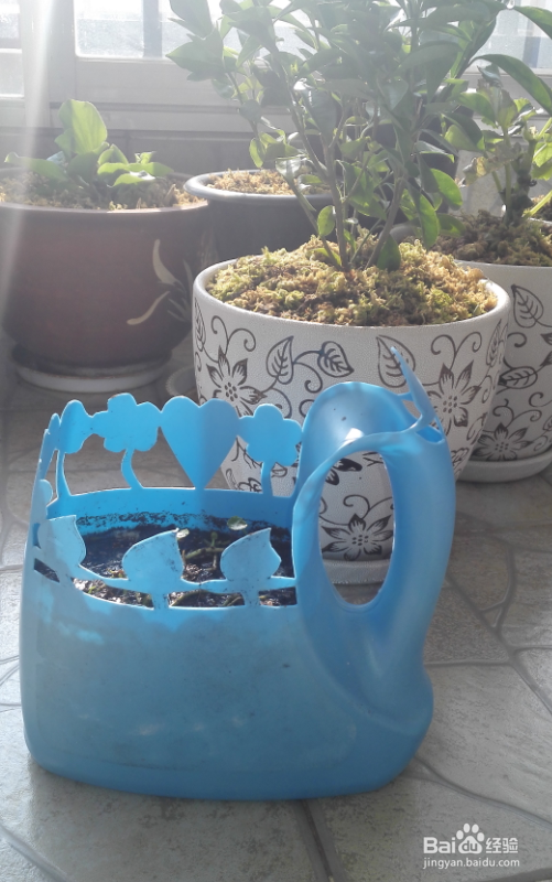 废物利用DIY制作漂亮花盆