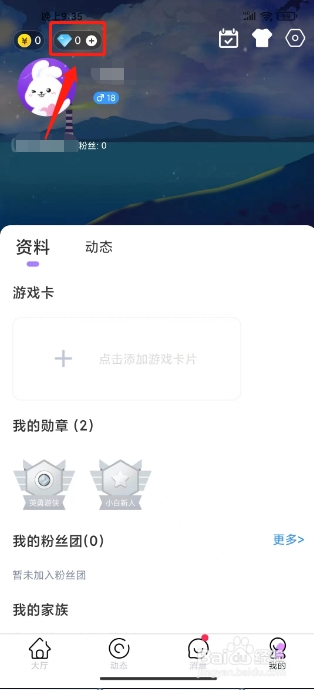 小白语音怎么充值钻石